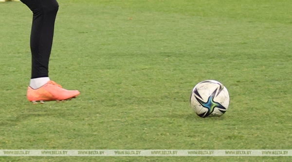 Футболисты "Торпедо-БелАЗа" выиграли у "Днепра" в чемпионате Беларуси