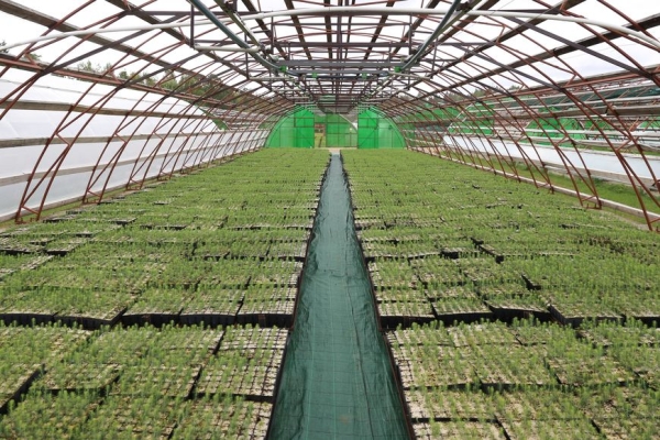 В основе работы – грамотный подход В основе работы – грамотный подход