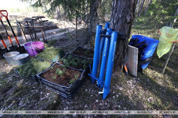 Сергеенко: субботники преображают страну и приобщают молодежь к общественно полезному труду Сергеенко: субботники преображают страну и приобщают молодежь к общественно полезному труду