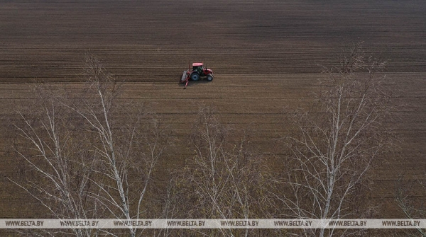Отечественные семена, теплая погода и надежда на хороший урожай. Как в Беларуси продвигается посевная