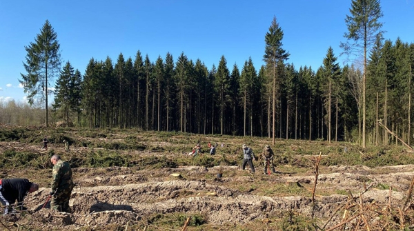 Назаров: создавая новые леса, оставляем послание будущим поколениям Назаров: создавая новые леса, оставляем послание будущим поколениям