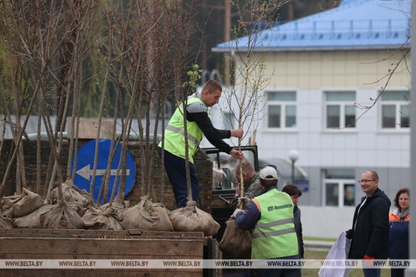 ФОТОРЕПОРТАЖ: Республиканский субботник проходит в Беларуси ФОТОРЕПОРТАЖ: Республиканский субботник проходит в Беларуси