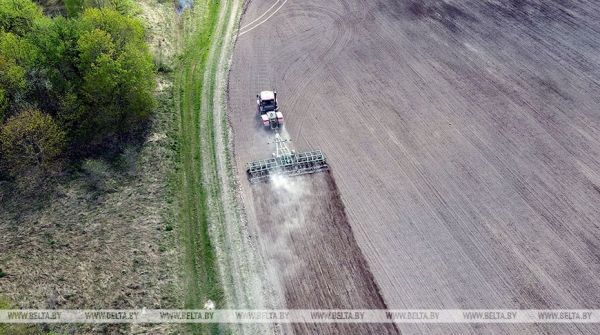 Ранние яровые в Беларуси посеяли почти на 89% площадей Ранние яровые в Беларуси посеяли почти на 89% площадей