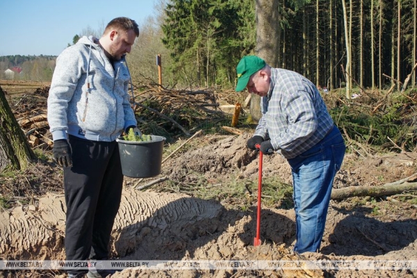 Назаров: создавая новые леса, оставляем послание будущим поколениям Назаров: создавая новые леса, оставляем послание будущим поколениям