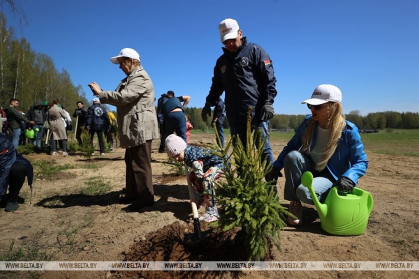 Наследие для будущих поколений. Белорусские артисты высадили в "Хатыни" около тысячи молодых елей