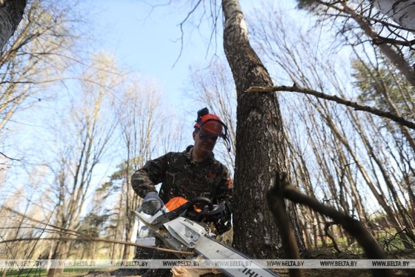 ФОТОРЕПОРТАЖ: Республиканский субботник проходит в Беларуси ФОТОРЕПОРТАЖ: Республиканский субботник проходит в Беларуси