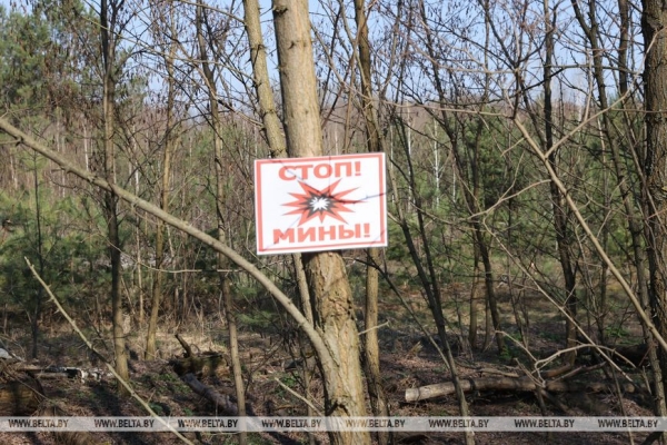 Южный периметр под защитой. Репортаж об усилении госграницы в Гомельском регионе