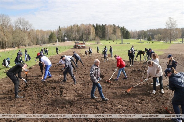 "Каждый год надо привносить изюминку". Лукашенко на субботнике трудится в мемориальном комплексе "Хатынь"