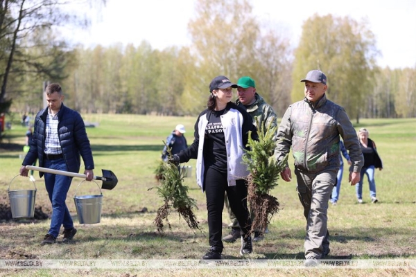 Луцкий: не сомневаюсь, что акцию по высадке деревьев в "Хатыни" поддержат многие белорусы