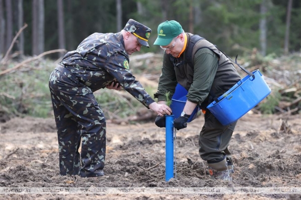Более Br12 млн собрано по итогам республиканского субботника Более Br12 млн собрано по итогам республиканского субботника