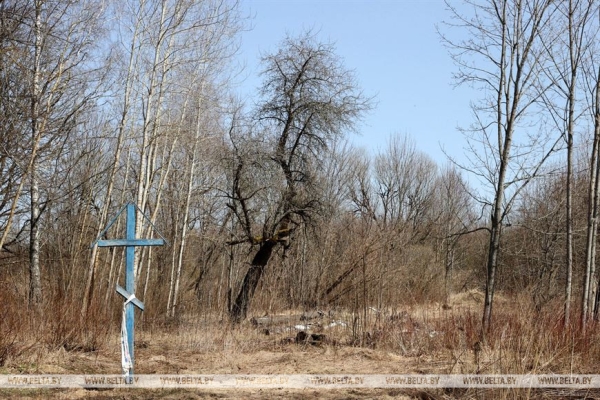 ДОСЬЕ: К 37-й годовщине аварии на Чернобыльской АЭС