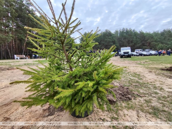 ФОТОРЕПОРТАЖ: Республиканский субботник проходит в Беларуси ФОТОРЕПОРТАЖ: Республиканский субботник проходит в Беларуси