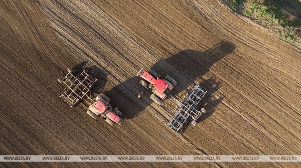 Отечественные семена, теплая погода и надежда на хороший урожай. Как в Беларуси продвигается посевная
