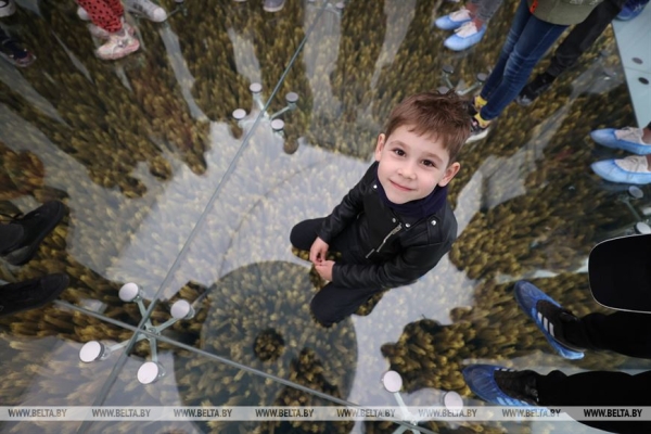 Наследие для будущих поколений. Белорусские артисты высадили в "Хатыни" около тысячи молодых елей