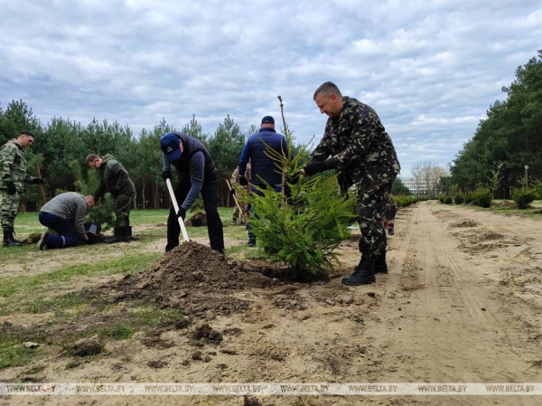 ФОТОРЕПОРТАЖ: Республиканский субботник проходит в Беларуси ФОТОРЕПОРТАЖ: Республиканский субботник проходит в Беларуси