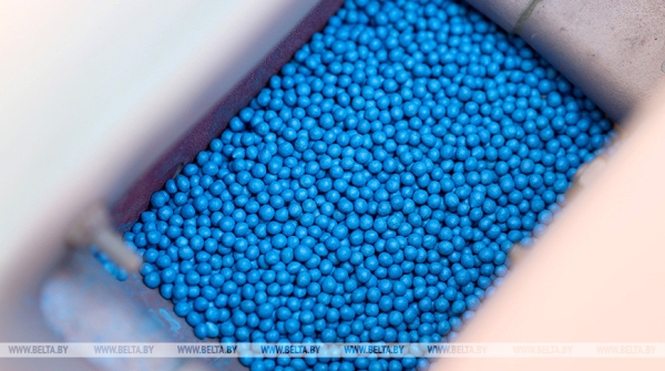 Отечественные семена, теплая погода и надежда на хороший урожай. Как в Беларуси продвигается посевная