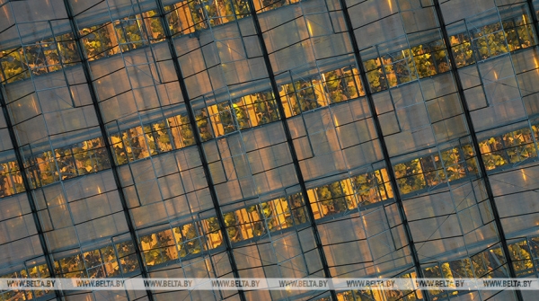 Новые теплицы, интенсивные сады и мелиорация. Как улучшится работа АПК в Беларуси