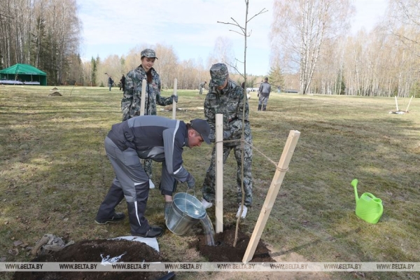 "Каждый год надо привносить изюминку". Лукашенко на субботнике трудится в мемориальном комплексе "Хатынь"