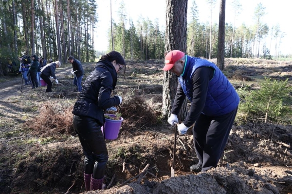 ФОТОРЕПОРТАЖ: Республиканский субботник проходит в Беларуси ФОТОРЕПОРТАЖ: Республиканский субботник проходит в Беларуси