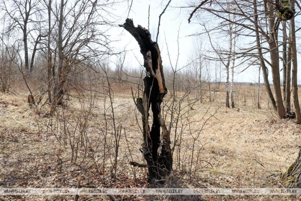 ДОСЬЕ: К 37-й годовщине аварии на Чернобыльской АЭС