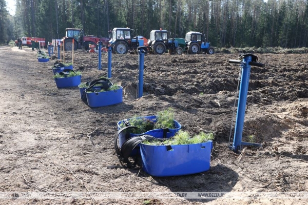 Сергеенко: субботники преображают страну и приобщают молодежь к общественно полезному труду Сергеенко: субботники преображают страну и приобщают молодежь к общественно полезному труду