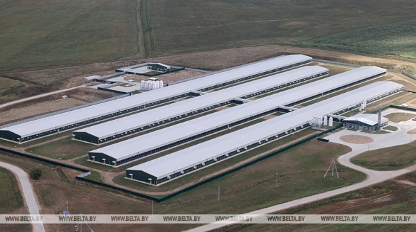 Лукашенко сразу по прилете в Ветку поднял вопрос укомплектованности молочно-товарных комплексов