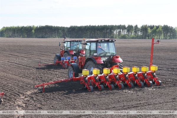 Лукашенко о дисциплине в регионах: наступает железная диктатура