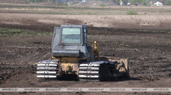 Новые теплицы, интенсивные сады и мелиорация. Как улучшится работа АПК в Беларуси