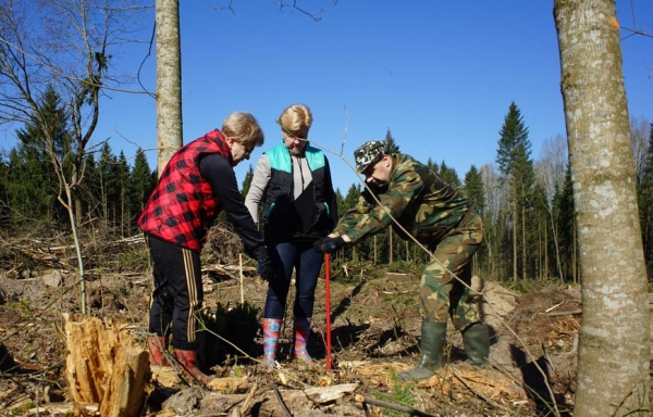 Назаров: создавая новые леса, оставляем послание будущим поколениям Назаров: создавая новые леса, оставляем послание будущим поколениям