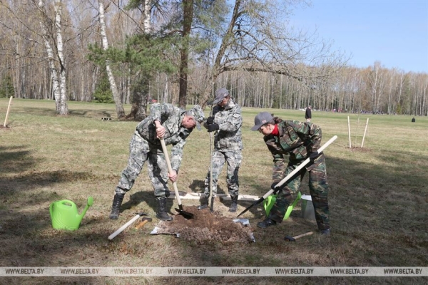 "Каждый год надо привносить изюминку". Лукашенко на субботнике трудится в мемориальном комплексе "Хатынь"