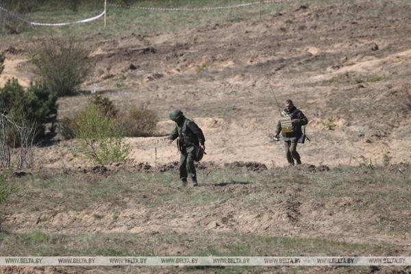 Вольфович: для обеспечения безопасности важно поддерживать готовность всех силовых структур