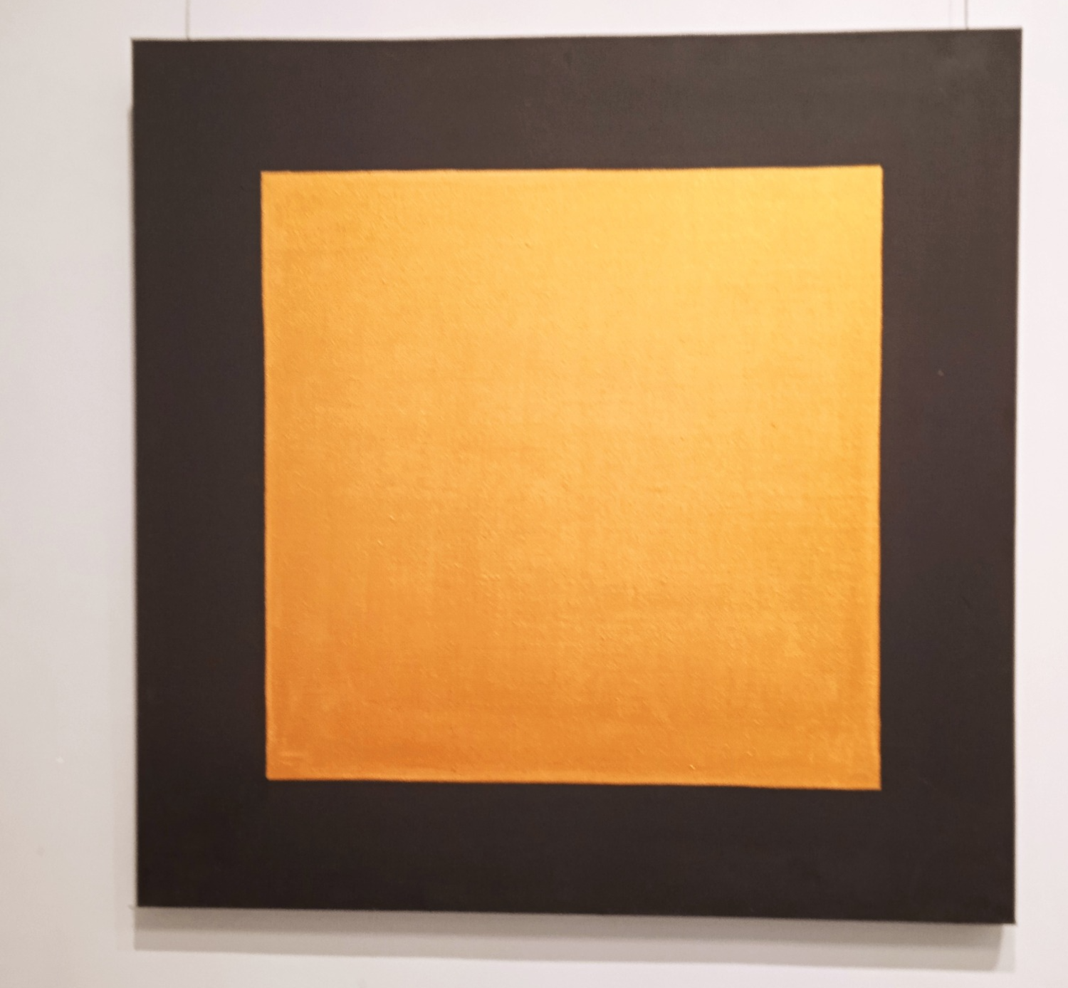 Проста пра складанае: &laquo;Сайарсізм&raquo; Сяргея Дажджу ў альма-матэр Шагала ў Віцебску