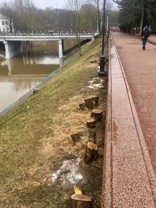 Как золотая рыбка в Витебске утонула