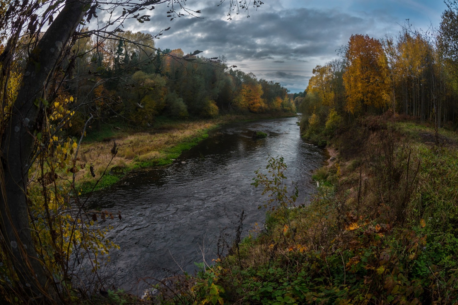 «Я будущую дочку назову твоим прекрасным именем — Лучёса»