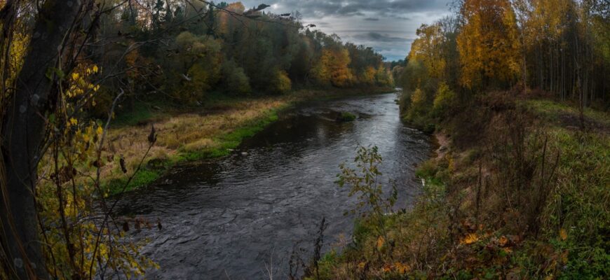 «Я будущую дочку назову твоим прекрасным именем — Лучёса»