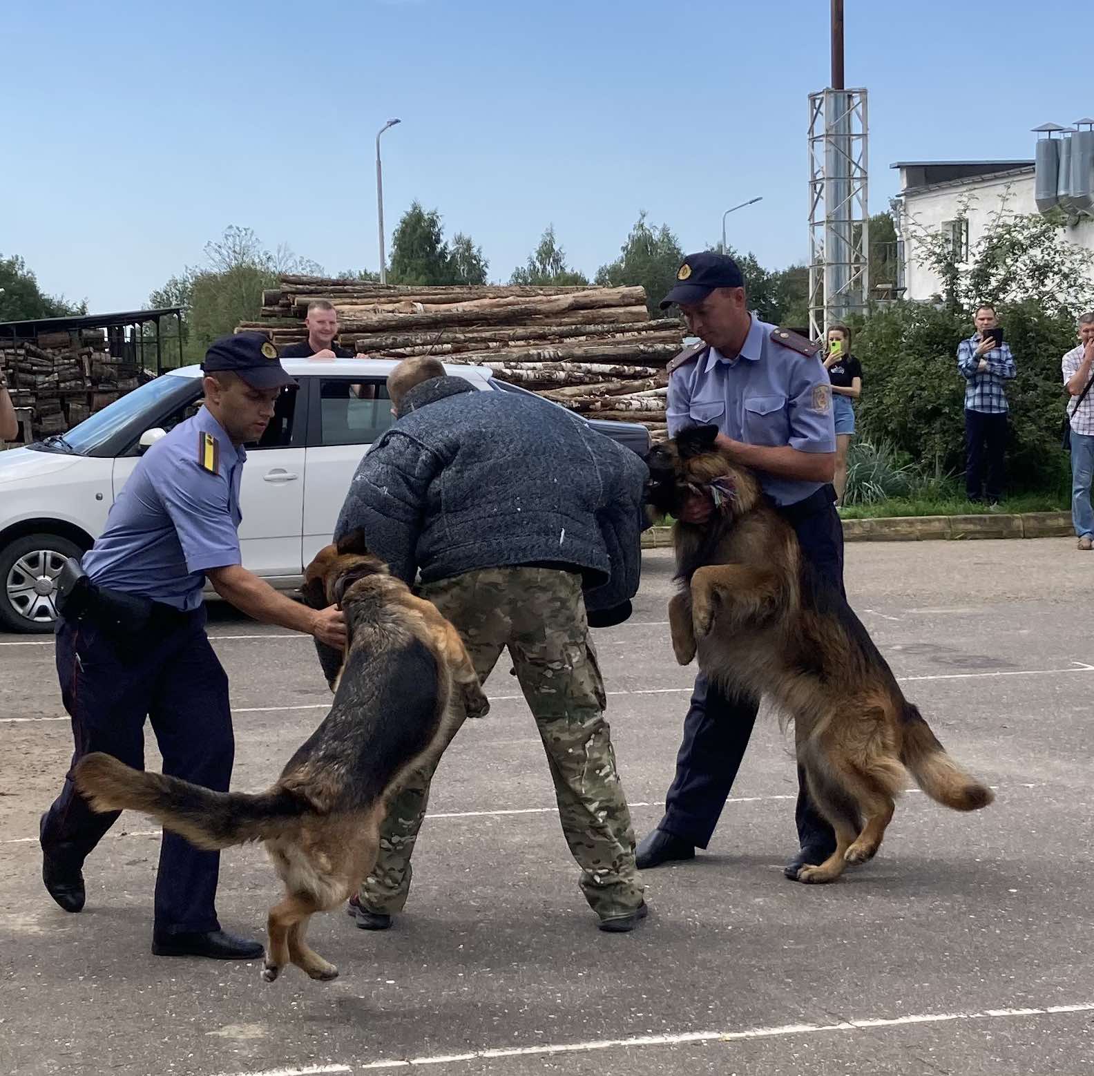 Витебскому приюту для животных «Добрик» — 12 лет Витебскому приюту для животных «Добрик» — 12 лет