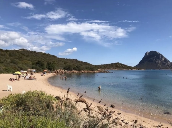 Мужчина попытался вывезти в багажнике авто 41 килограмм пляжной гальки. Штраф может достичь €3 тысяч Мужчина попытался вывезти в багажнике авто 41 килограмм пляжной гальки. Штраф может достичь €3 тысяч